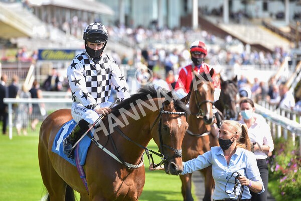 yr09072021r5-28 - Race 5: 4.20pm Garbutt + Elliott Stakes