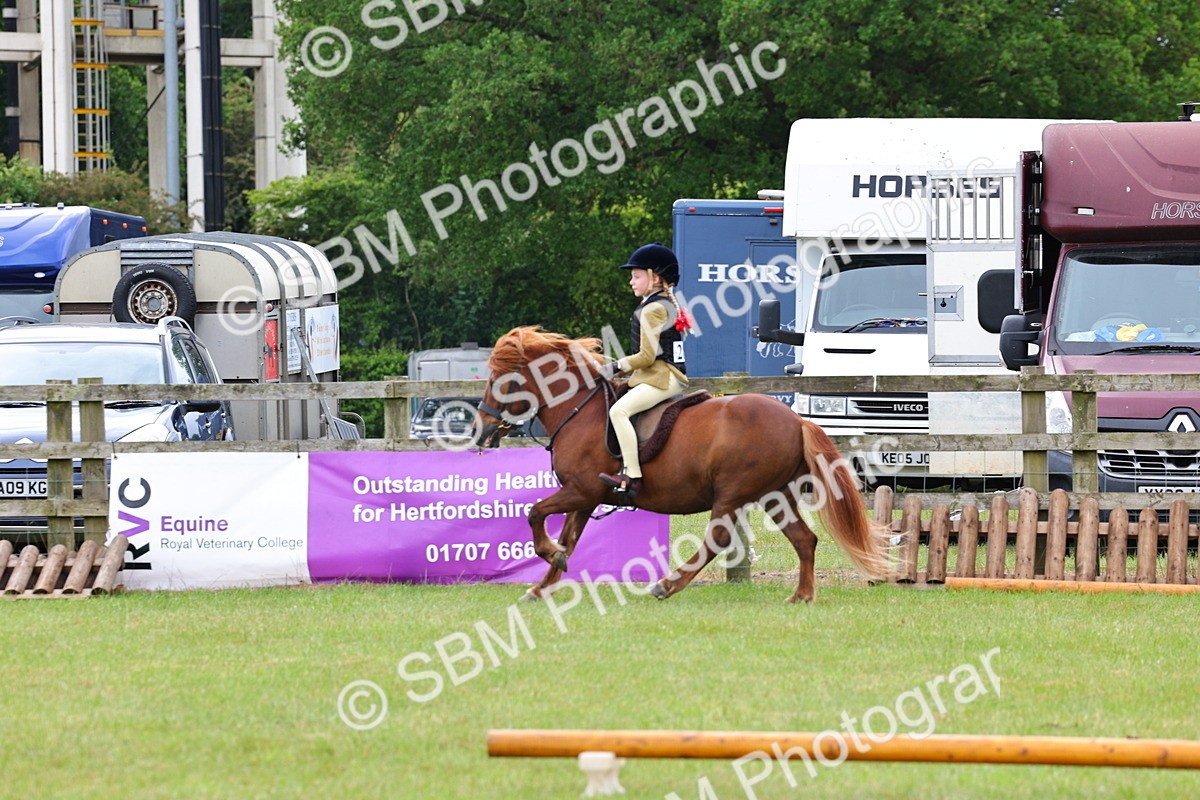 SBM_08645 - Class 42-43 - LIHS BSPS Heritage Working Sports Pony