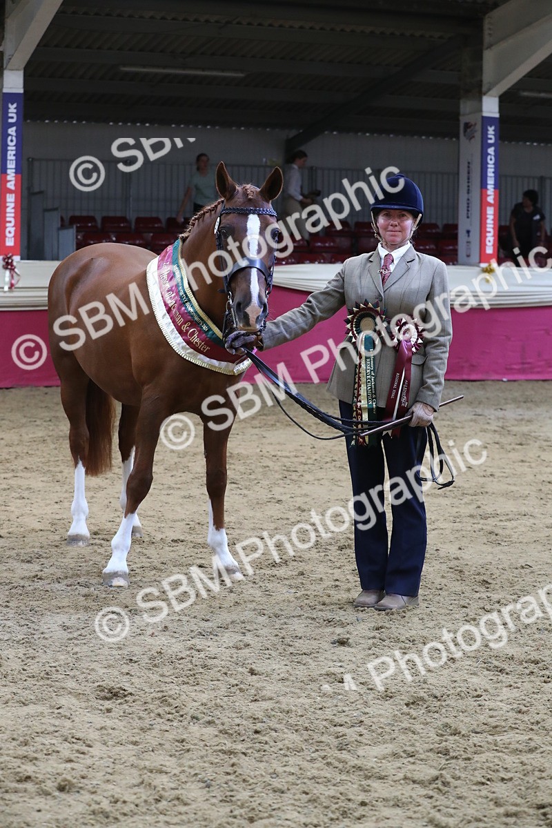 SBM_06566 - Regional IH Champ