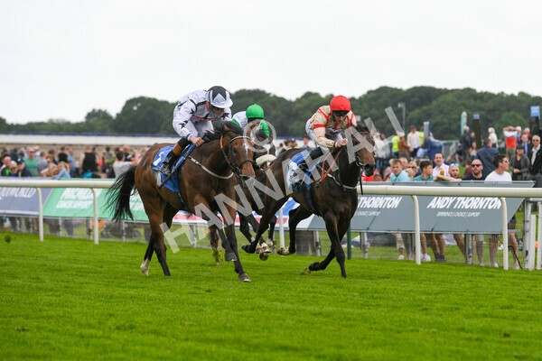 yr10062022r6-16 - Race 6 4.40pm No 1 York by GuestHouse Hotels British EBF Novice Fillies Stakes