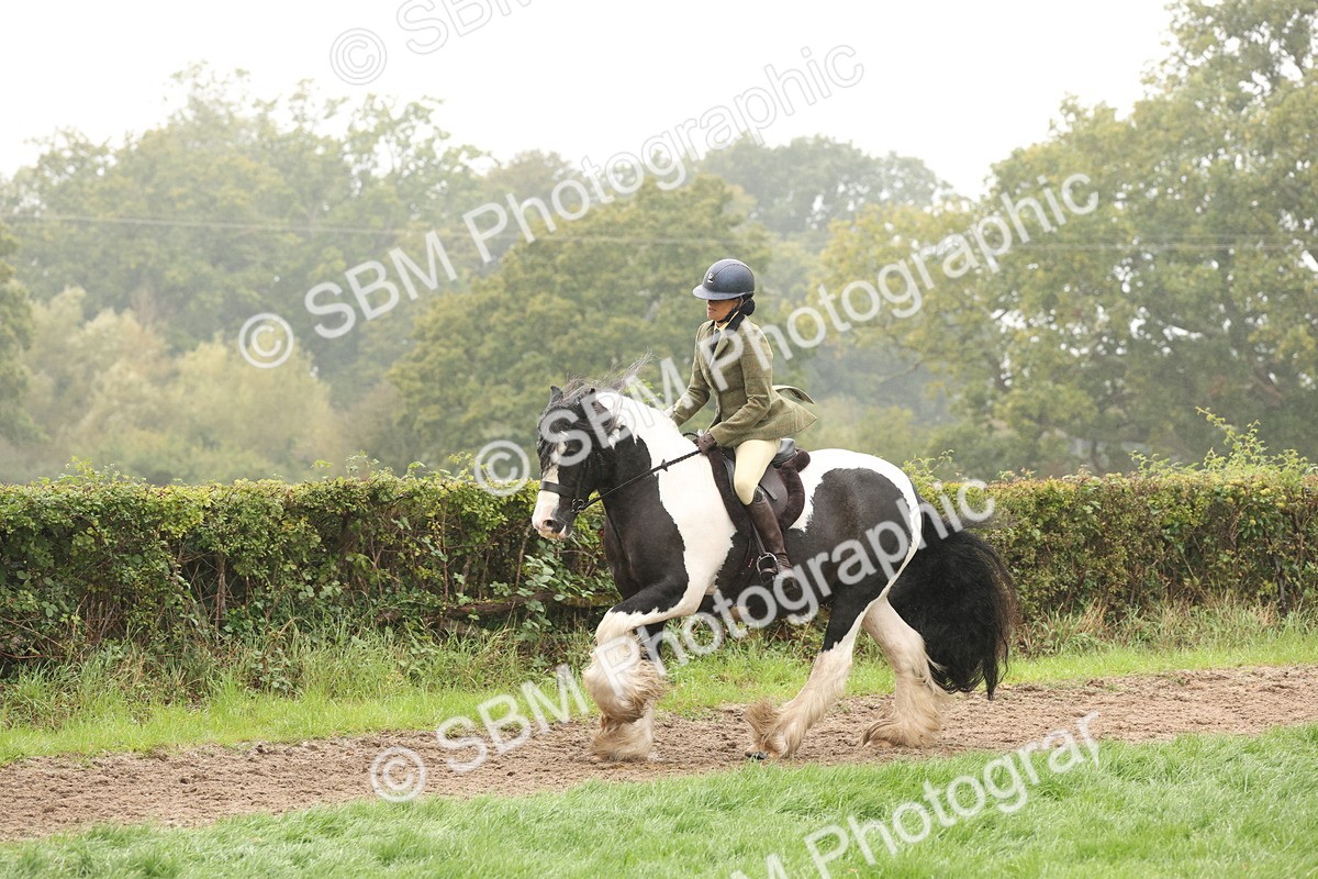 SBM_72733 - S70 - Traditional Cob Ridden
