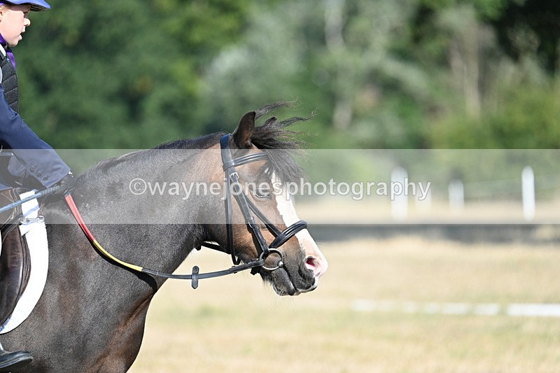 WJ7_8936 - Time 09:27 to 10:03