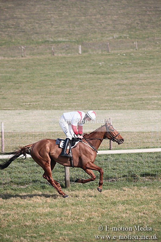 PtP 230219 255 - Vine & Craven Point-To-Point - Barbury 23/02/19