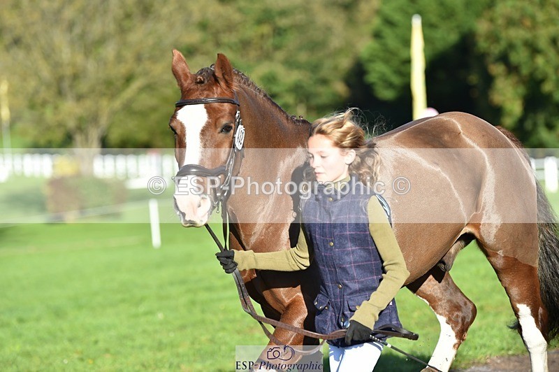 231022-100512-22237 - 432-DALEY-Oona.Gowan-TrotUp+SJ
