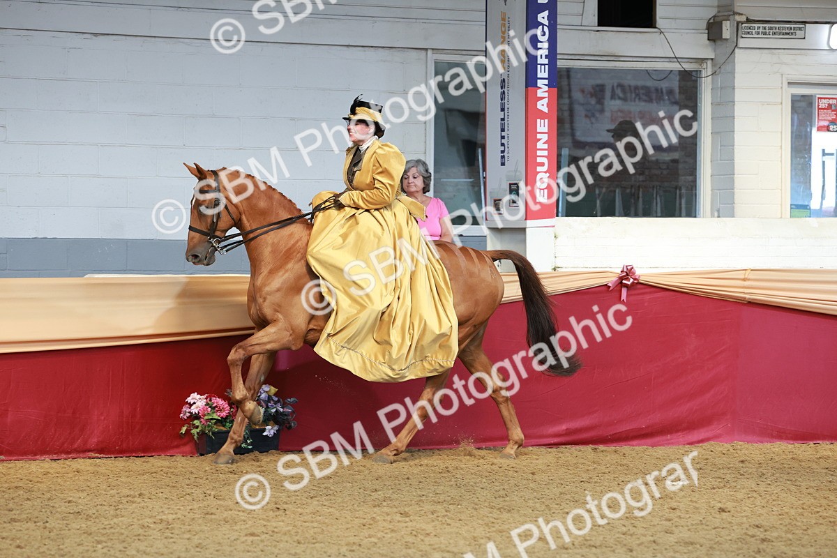 SBM_13561 - Class 105 - Ridden Costume - Side Saddle