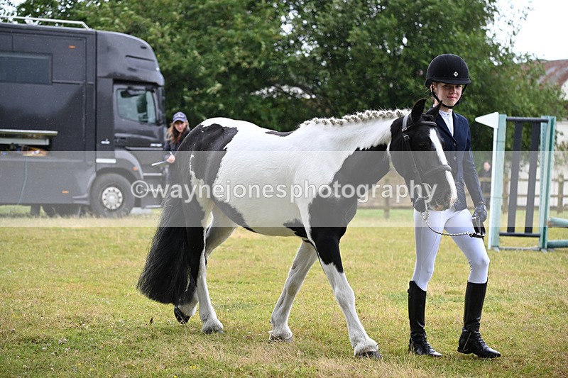 WJ6_8700 - Class 10 Coloured in-hand