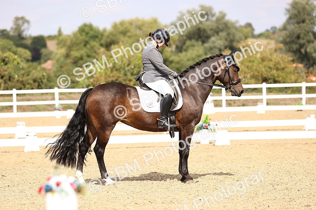 SBM_015030 - Class 6 - Elementary 5