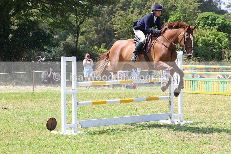 3E7A3353 - Class 10: Senior Foxhunter/1.20 open