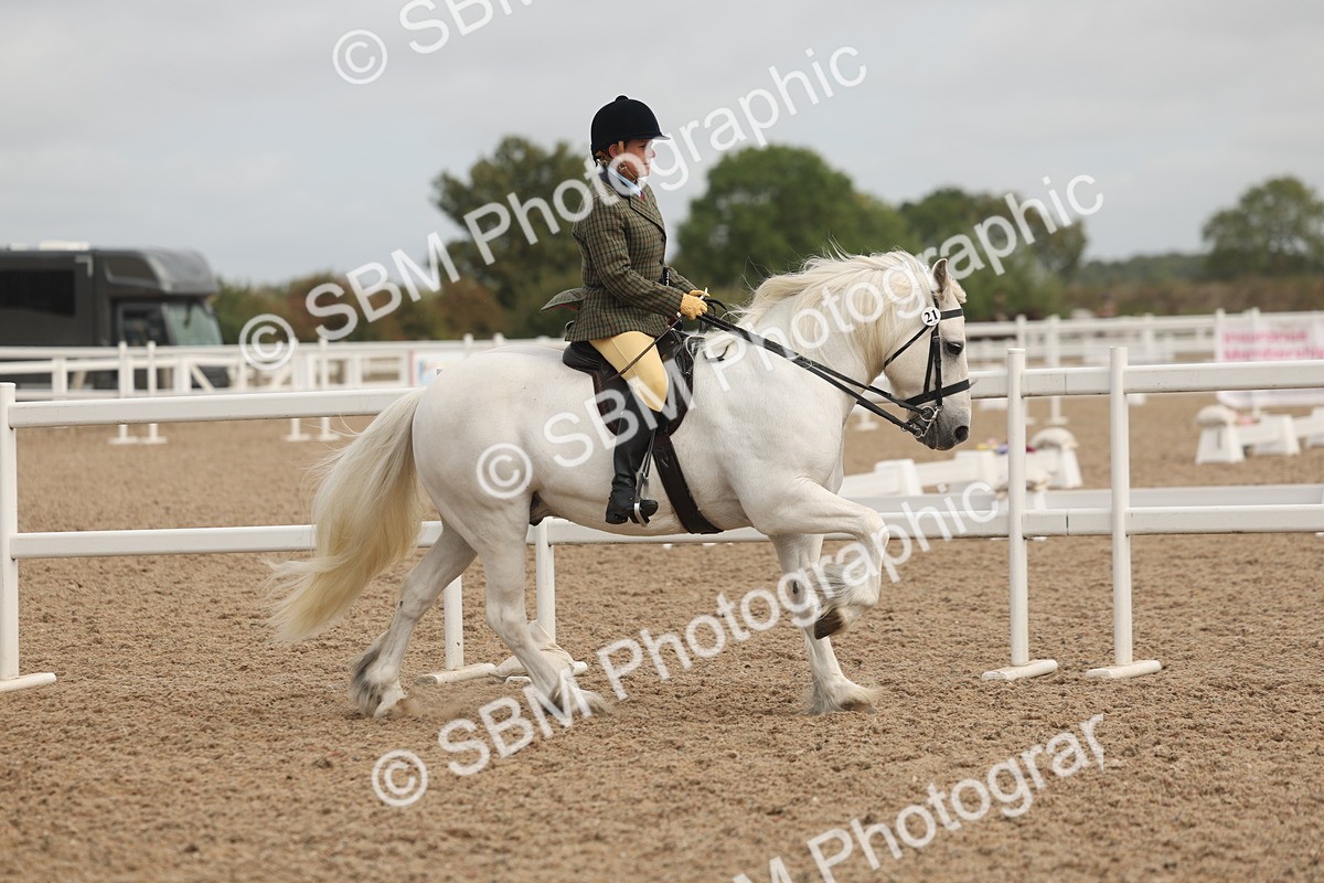 SBM_02041 - Class 14 - Ridden M&M Wildcard