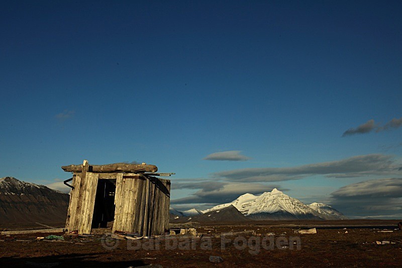 Old hut 3927 - Autumn