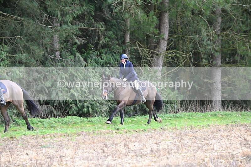 WJ6_9735 - Line Four