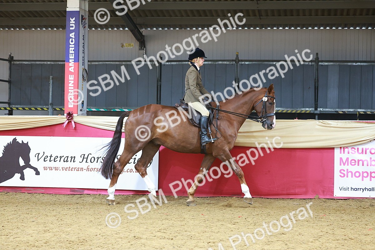 SBM_10530 - Class 103 - HOYS Veteran Qualifier - Ridden Pre Vet