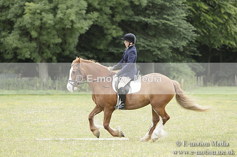 BVR160717-1229 - Class 2 Dressage 16/07/17