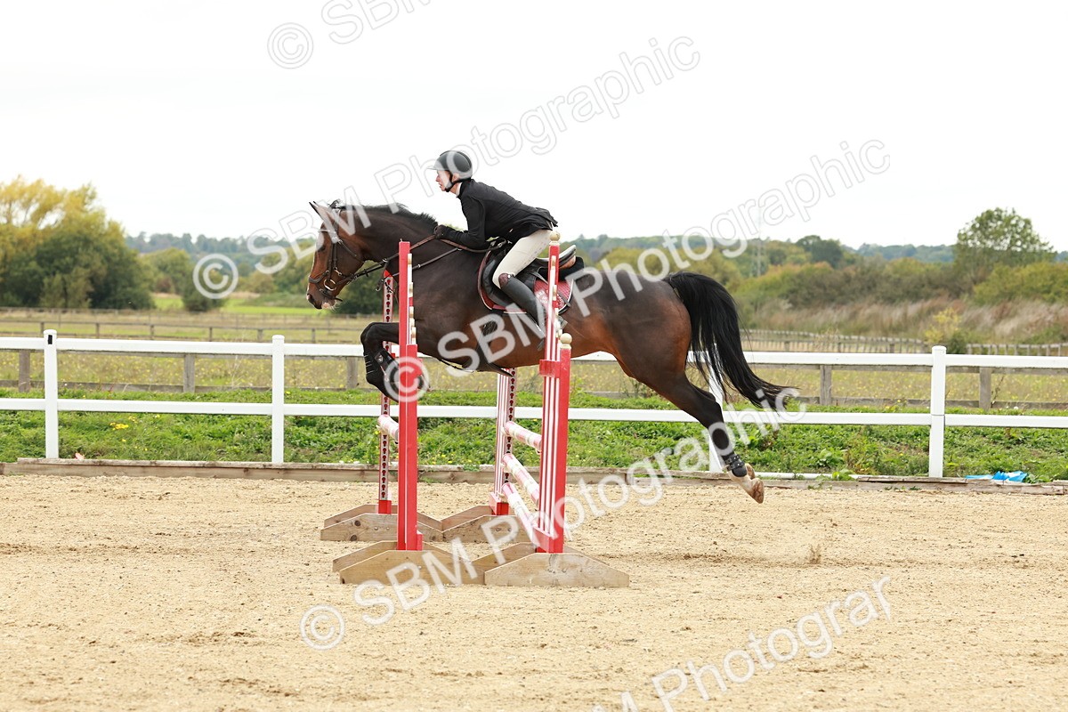 1I0A7035 - Class 2 - Senior British Novice