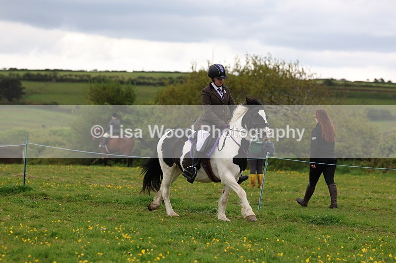 3E7A1525 - Class 8: Ridden Veteran Junoir and Senior