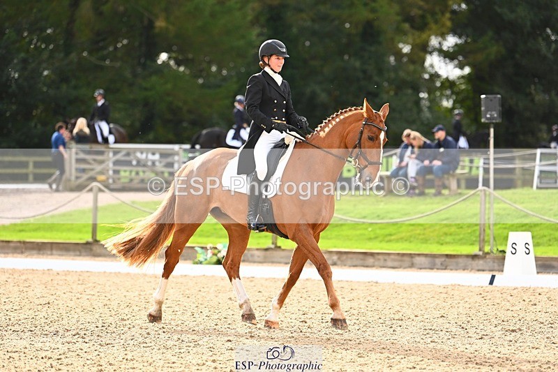 231020-143928-09997 - 309-CROSSTOWN.FINTANS.LAST-Catherine.Burrell-DR