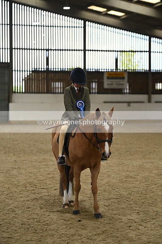 WJ7_4627 - Afternoon Champs