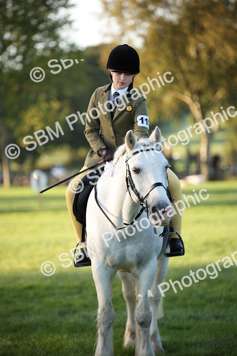 SBM_32307 - S8 - Best Turned Out