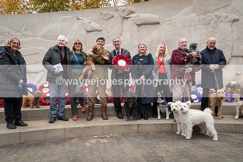 Z62_4691 - Animals In War Memorial 2025 - Park Lane, London