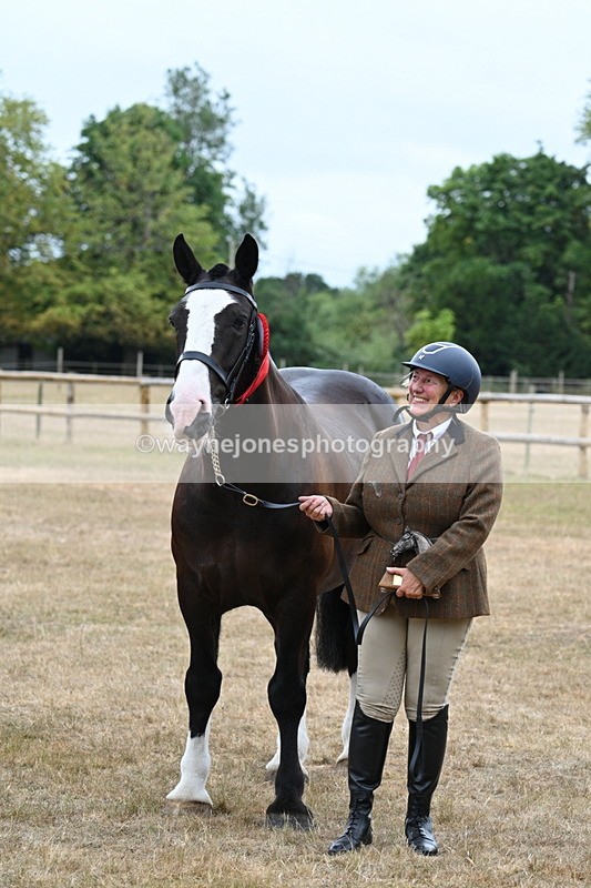 WJ7_0226 - Gelding Champs