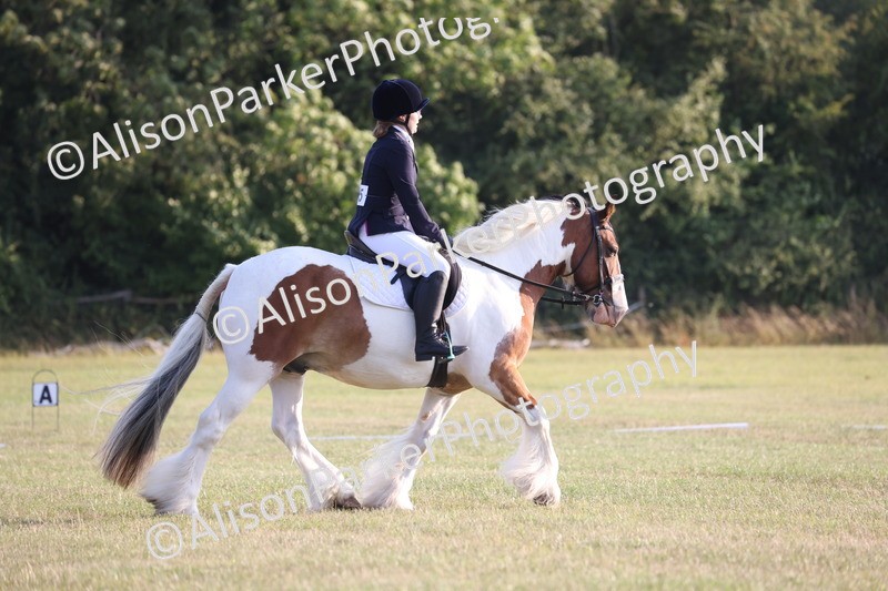 20250731-0806 - Class 1 - Intro 4