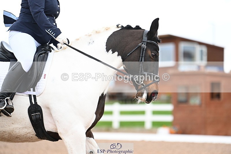 240218A-134128-07911 - 260-Lauren.Picknett-Bonnie.V