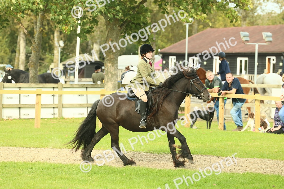 SBM_69357 - S58 - Mini Show Cob Ridden