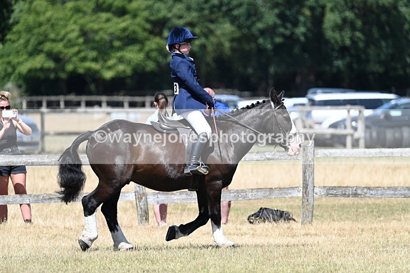 WJ7_3676 - Class 8 Ridden Veterans