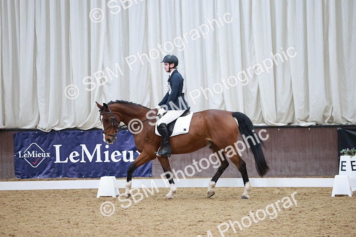 SBM_004671 - Ring 3 - International -  Working Hunter Classes 23-2-25
