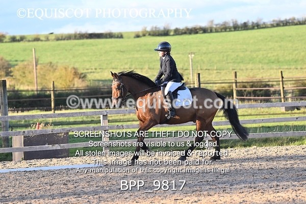 BPP_9817 - SHORT ARENA