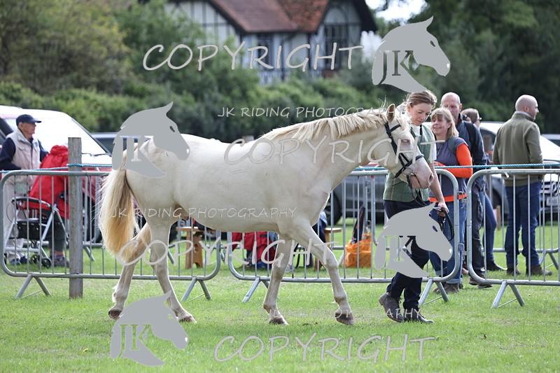 APP_2970 - Class 10a/b M&M in hand