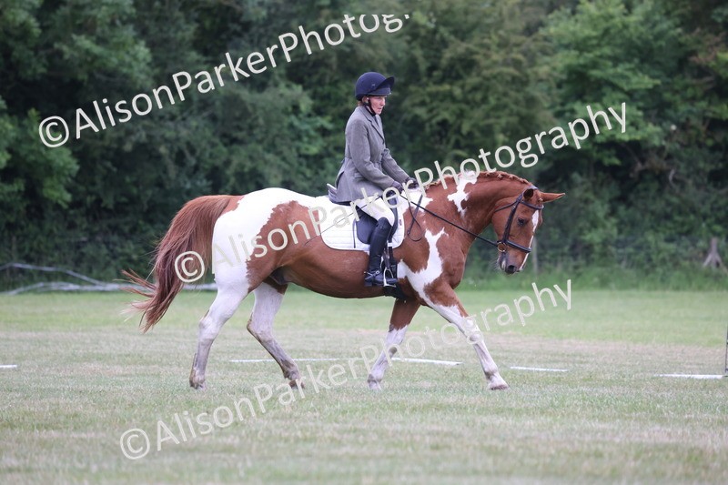 20250605-0766 - Class 4 - Novice 2