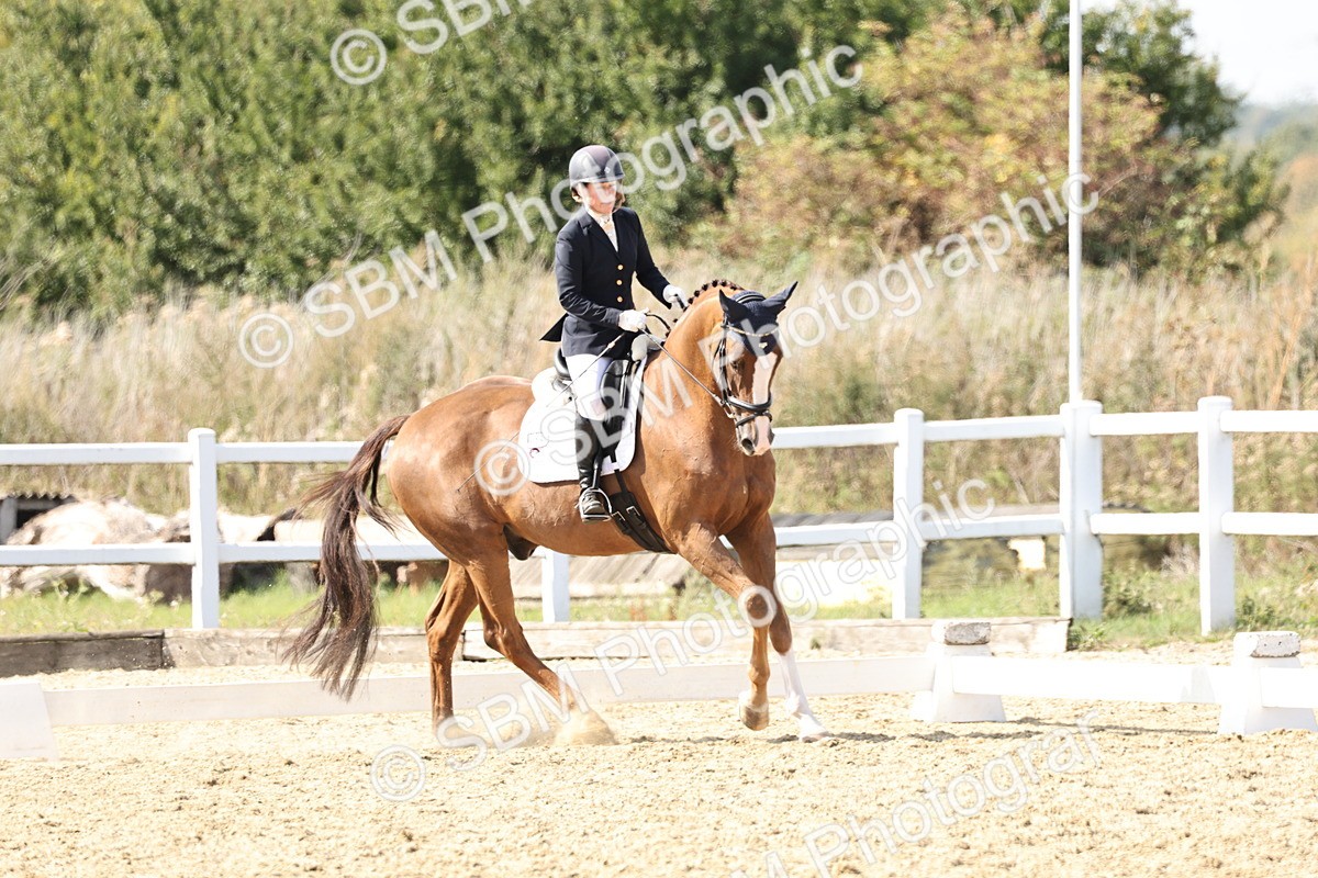 SBM_014943 - Class 7 - Medium 3