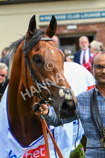 290723-Race 1-Soul Seeker-0365 - Race 1 2.05pm Sky Bet 'Jump Jockeys' Nunthorpe' Handicap
