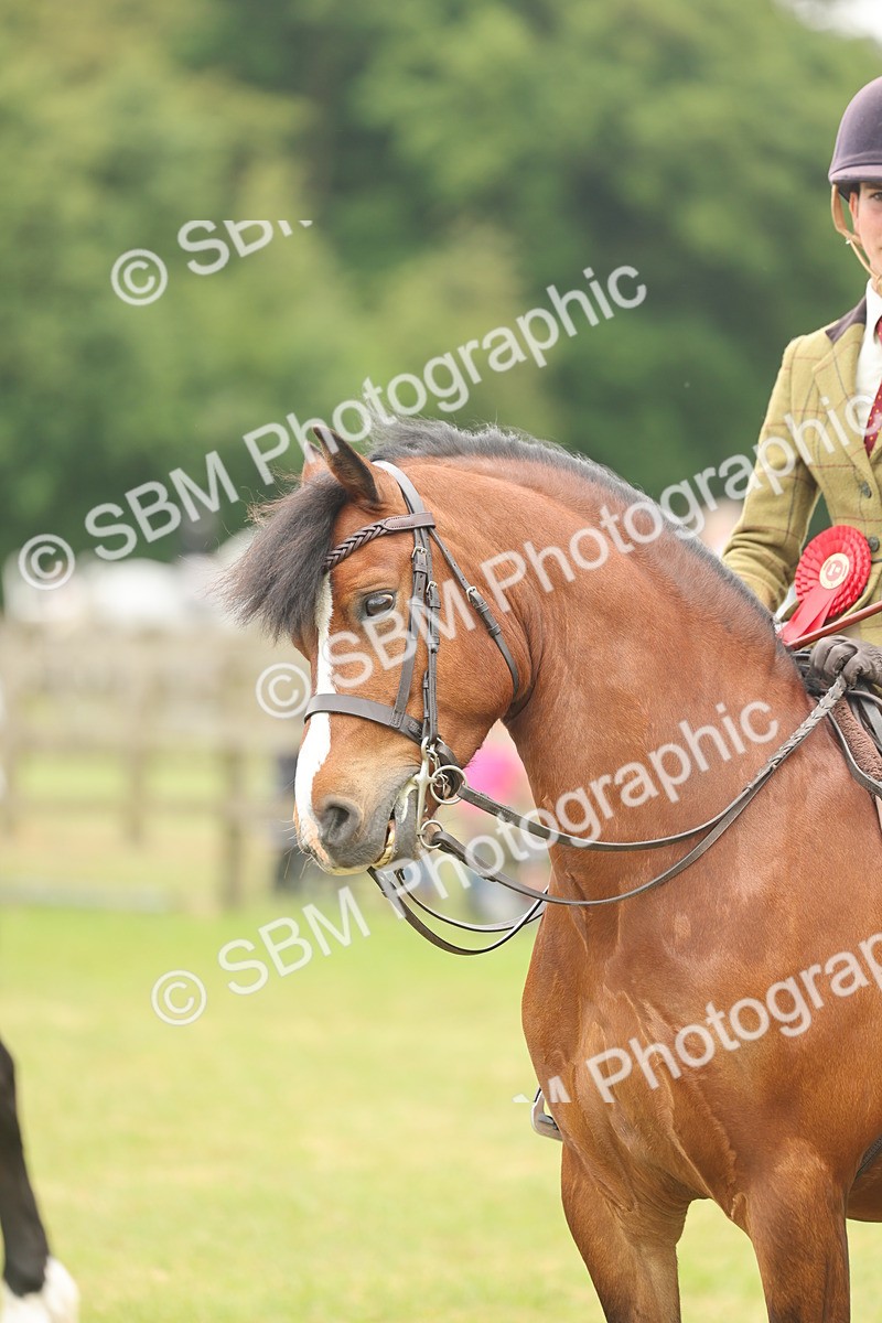SBM_07265 - Class 76-77 - Ridden M&M Welsh Ponies