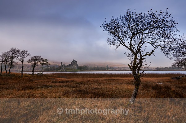 Marshland. - Landscape
