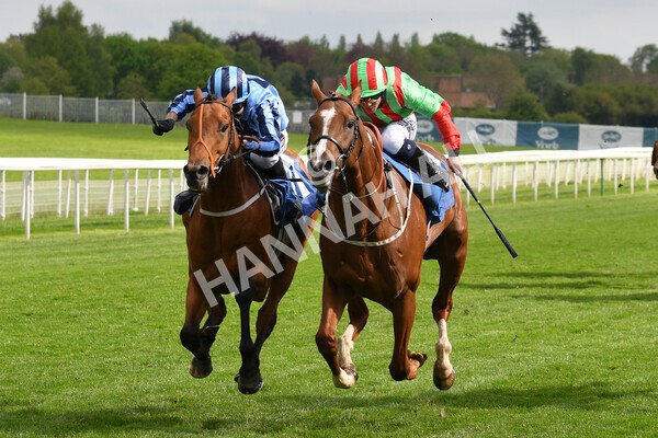 yr14052021r7-27 - Race 7 4.50pm Irish Thoroughbred Marketing Stakes