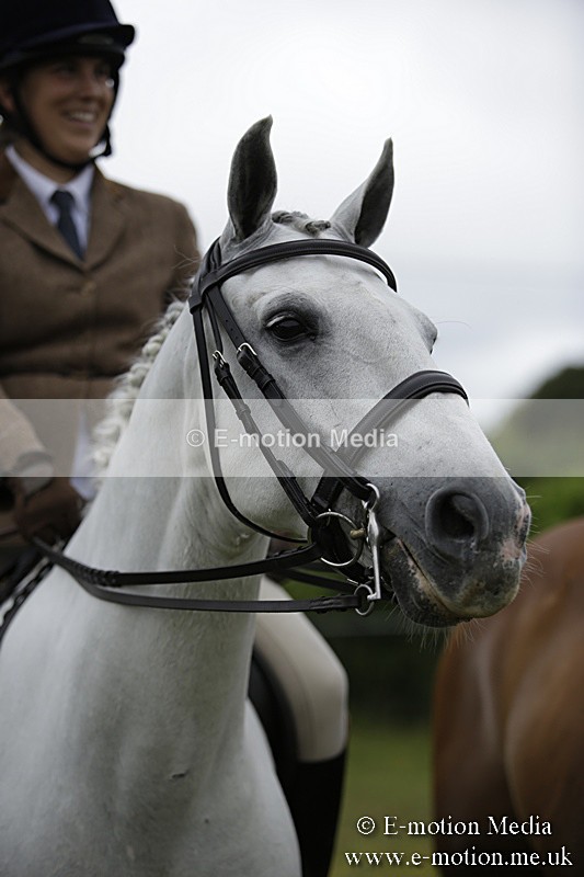 BVR160717-1034 - Ring 1 BVRC Show 16/07/17