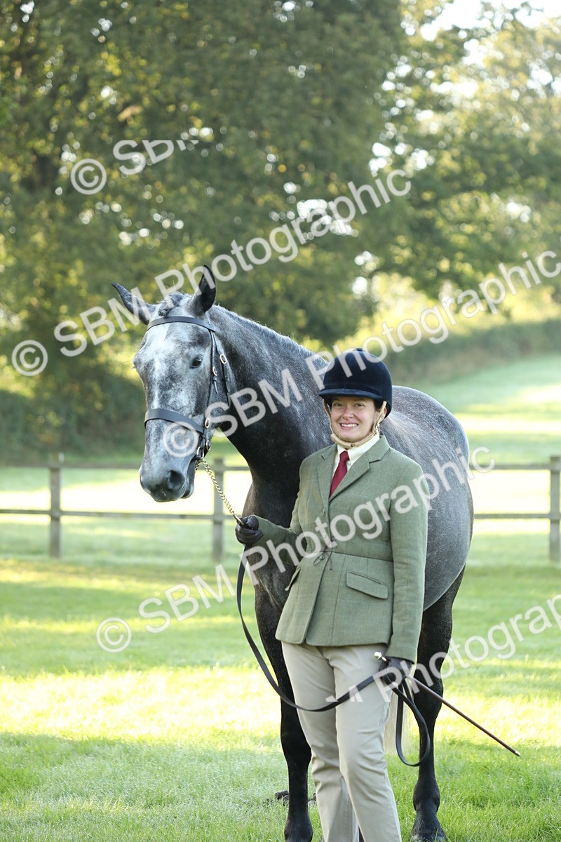 SBM_57948 - S42 - Youngstock