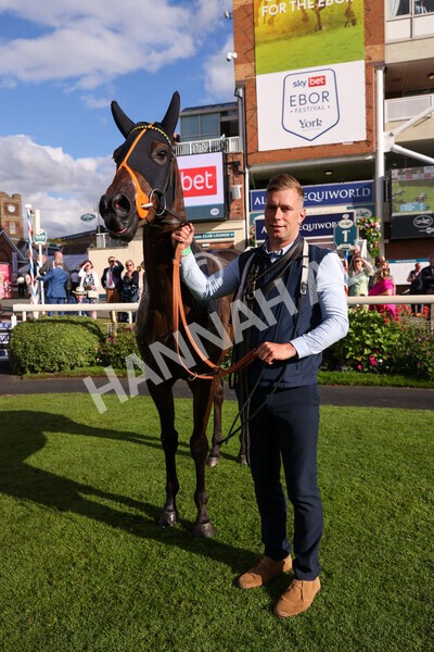 yr19082022r7-69 - Race 7 5.20pm Sky Bet Mile Stakes