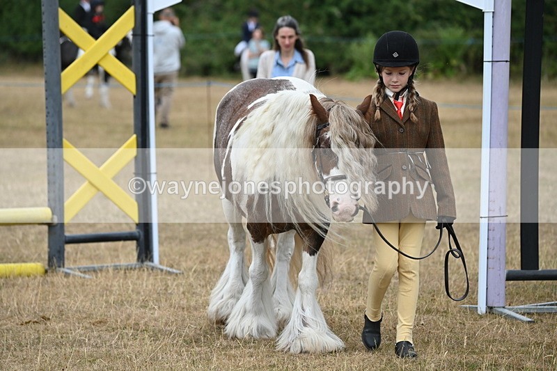 WJ6_8039 - Class 10 Coloured in Hand