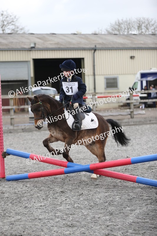 20260412-0169 - Show Jumping