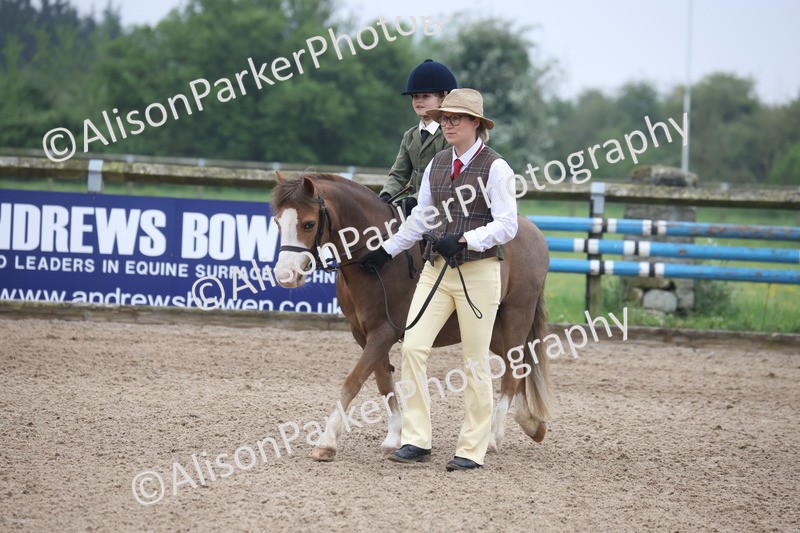 20260504-0093 - Class 9 - Lead Rein Pony