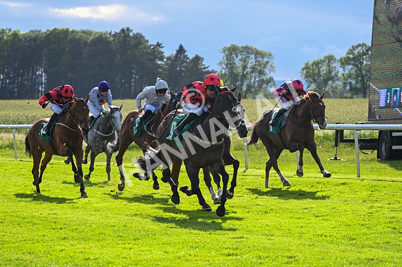 310526-Race 6-Mountain Road-9279 - Race 6 18.15pm Sky Bet For The Fans Handicap