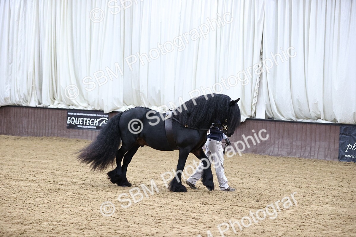 SBM_5331 - Class 32 - In Hand Cob Type