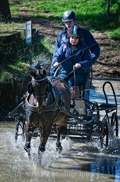 _DSC0061sml - Ashfields Carriage & Polo Club