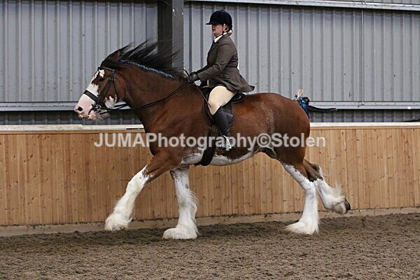 SIAL3304 - Sunday 14th Ridden