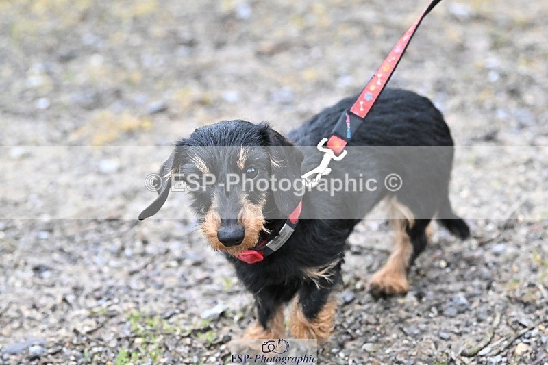 241206-144234-01130 - Naomi