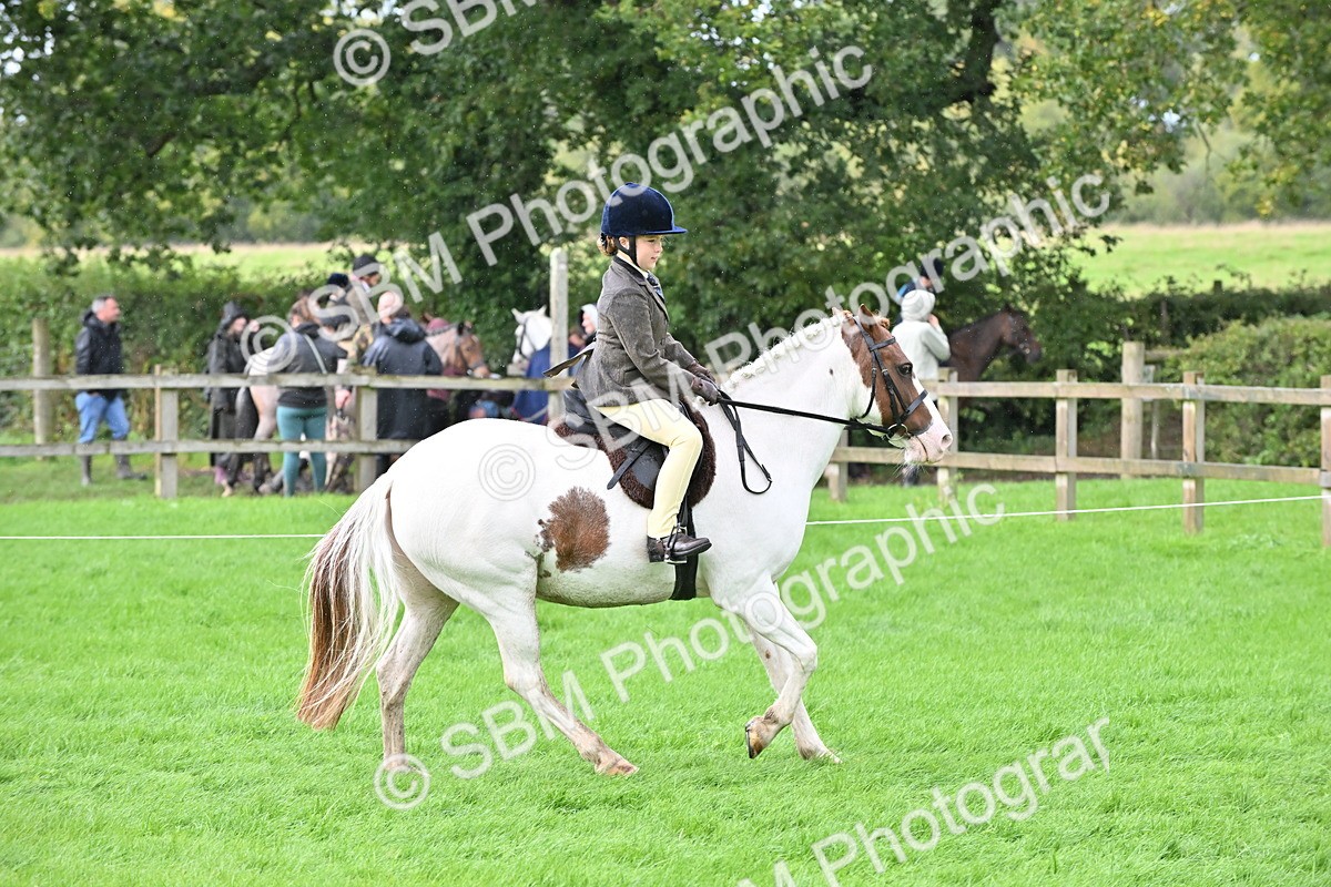 SBM_43050 - S12 - Family Horse & Pony