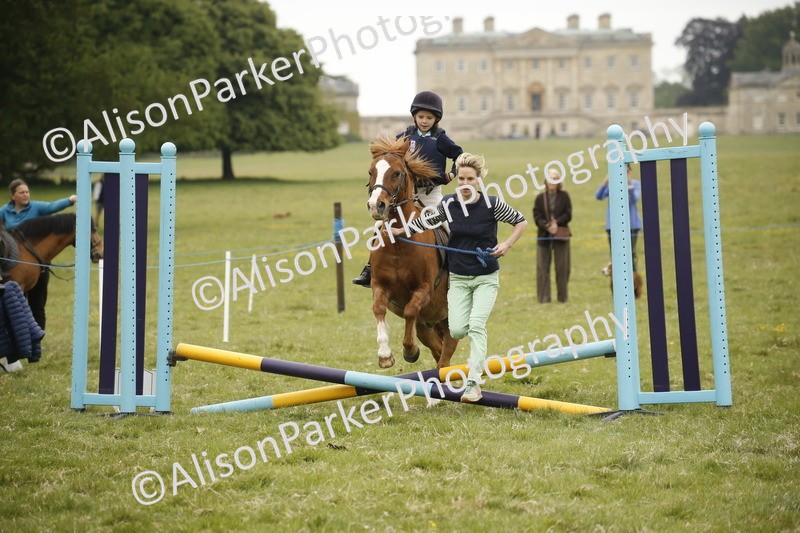 20250517-0234 - Class 1 - 30cm On Lead Rein